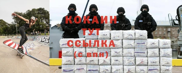 гидра Алексин