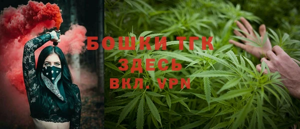 гидра Алексин