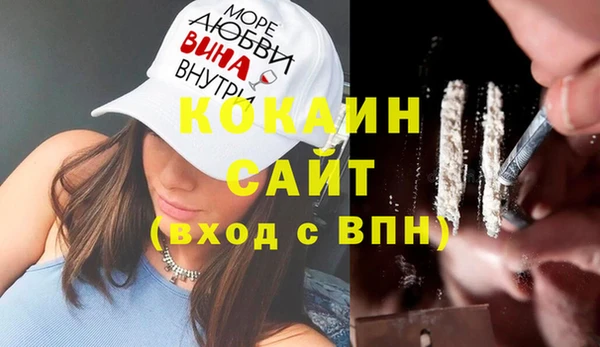гидра Алексин
